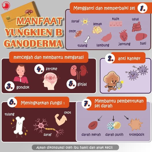 Manfaat Yung Kien B Ganoderma untuk Cegah Stroke dan Jaga Fungsi Saraf